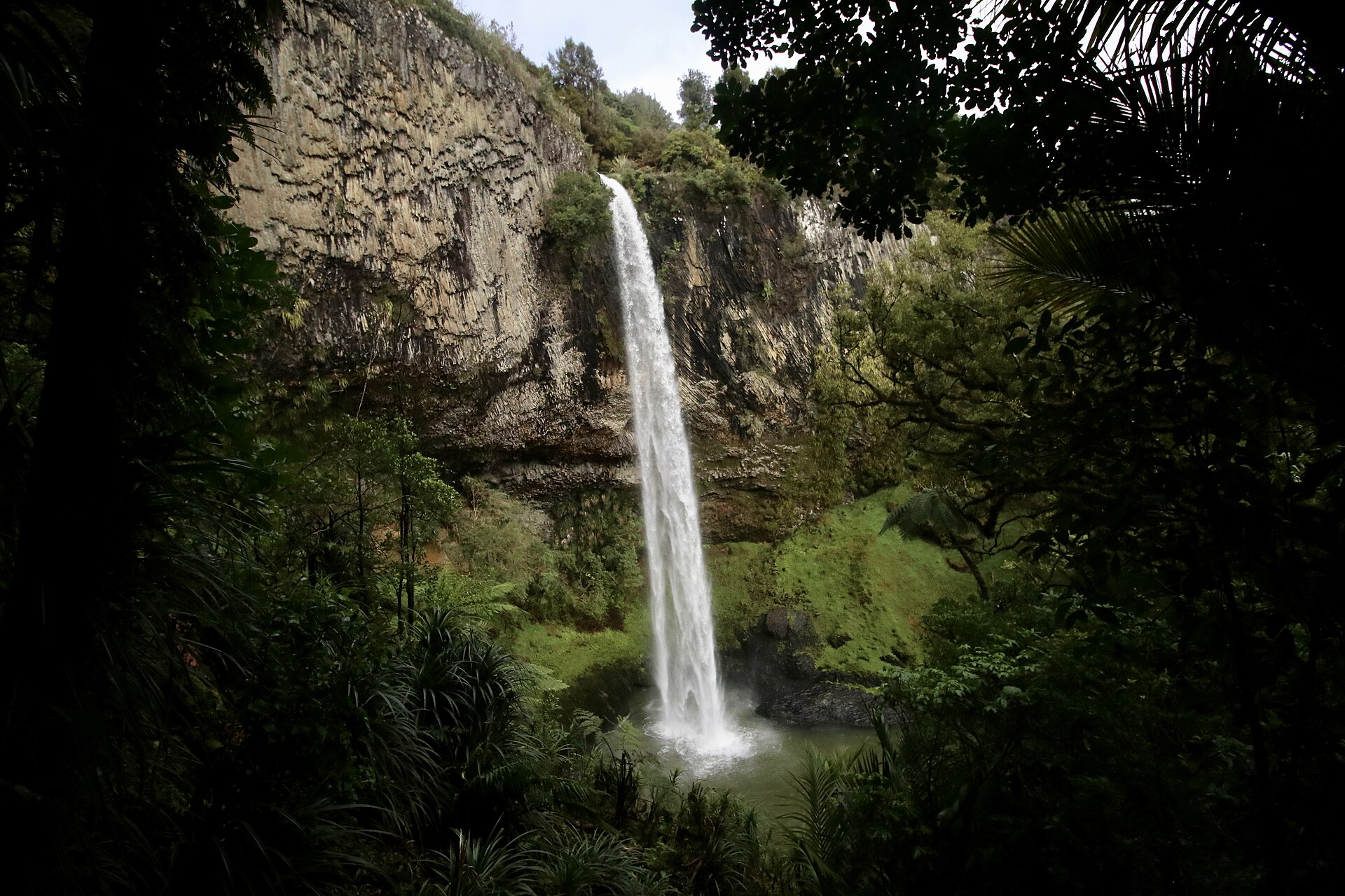 Bridal Veil Falls plunging 55 metres through dense native bush in the Waikato region of New Zealand